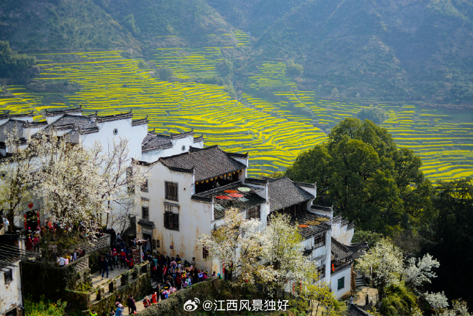 江西经济社会发展研究综述