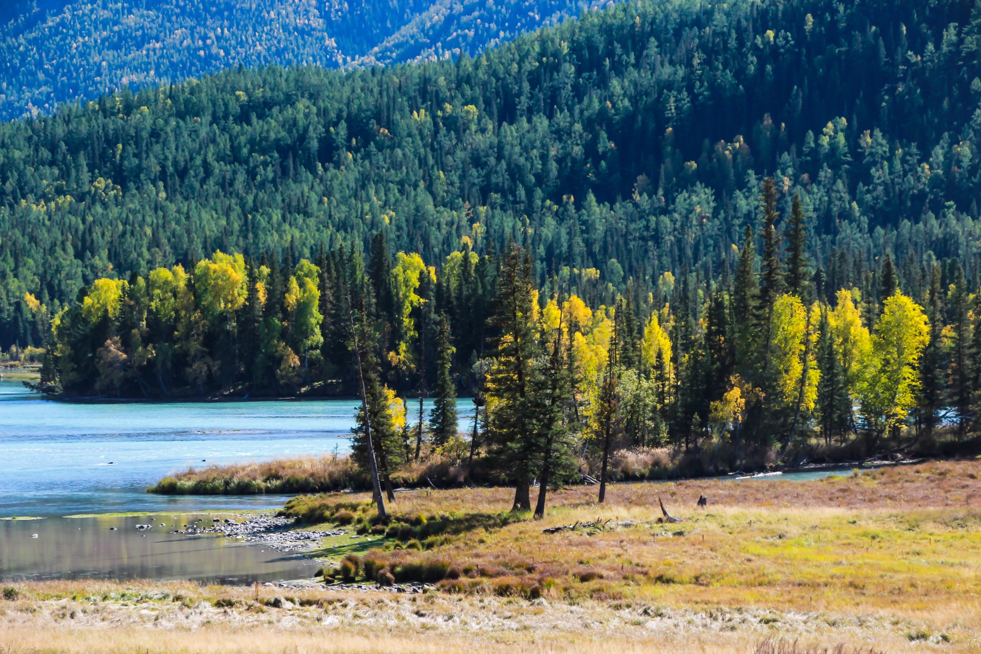 新疆，嘉宾与友朋共聚一堂